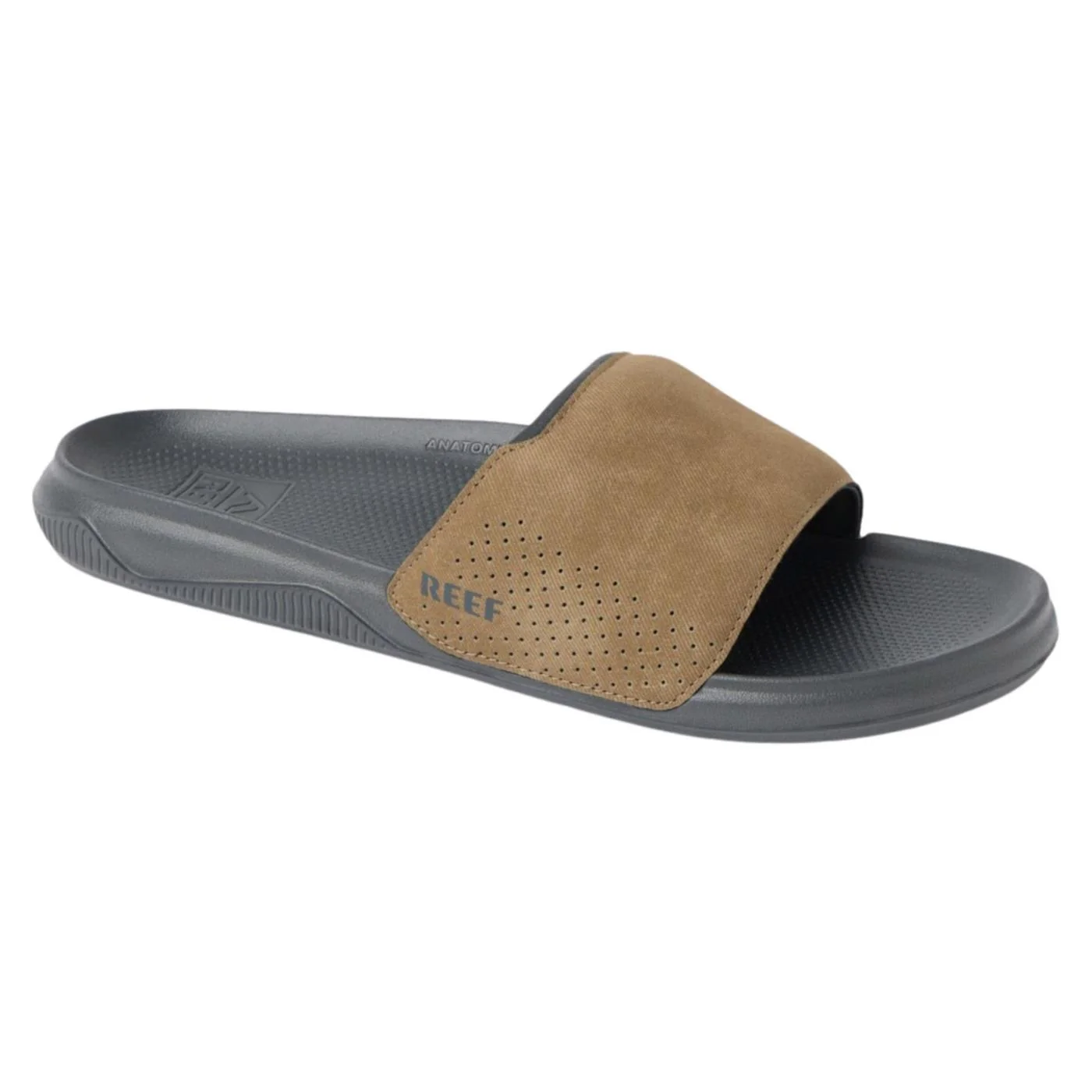 REEF TAILSLIDE