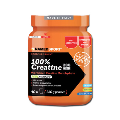 CREATINA 100% 500G NAMED