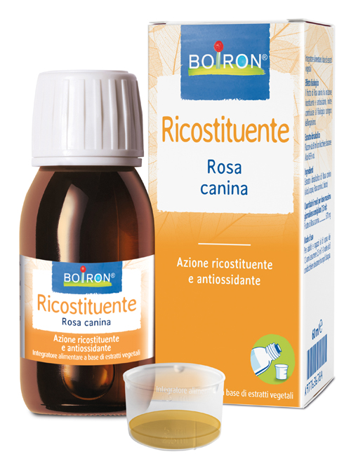 ROSA CANINA BOI EI 60 ML INT