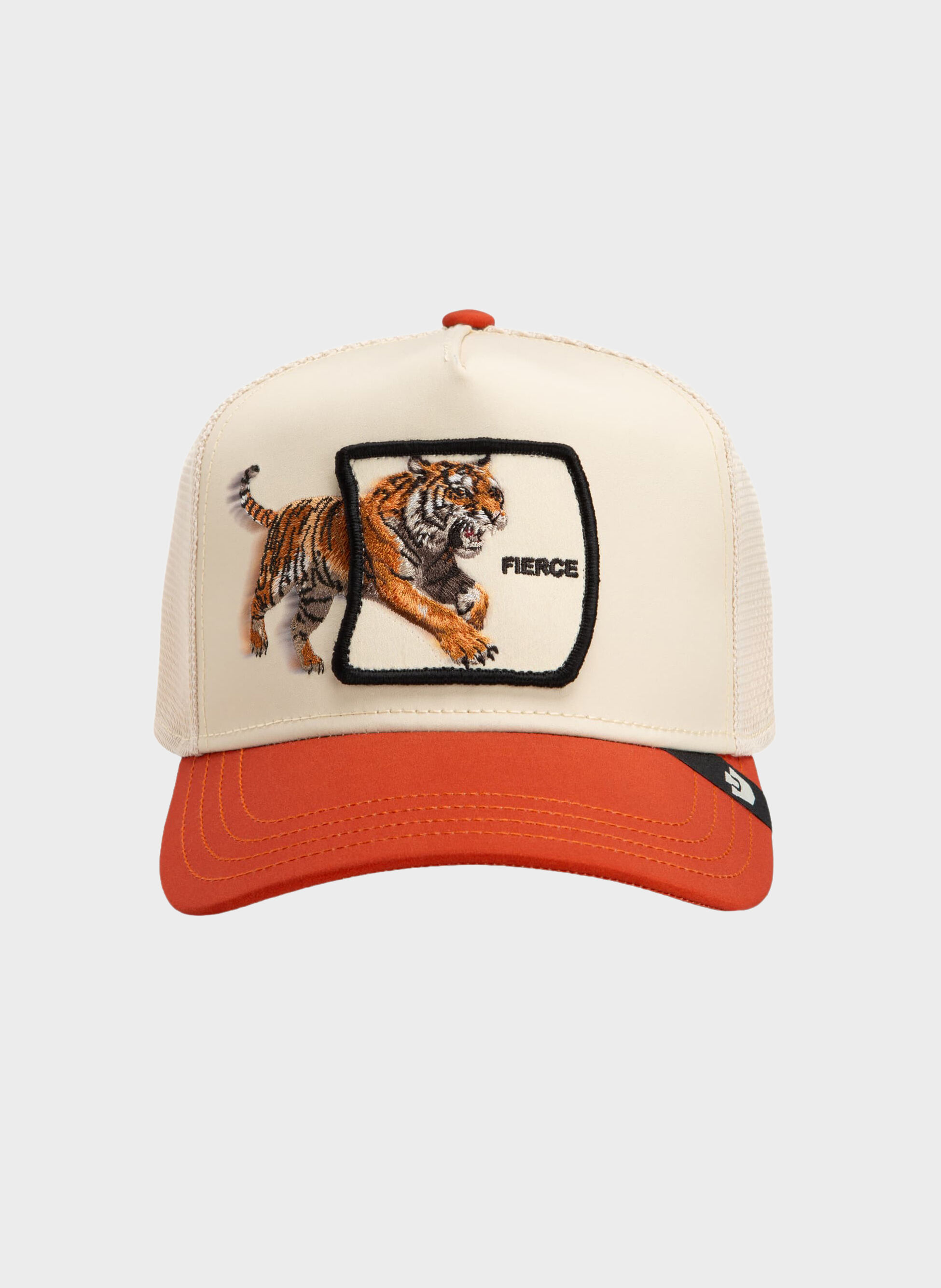 CAPPELLO MIGRATION FIERCE