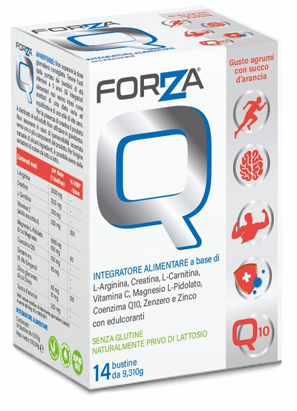 FORZA Q 14 BUST.