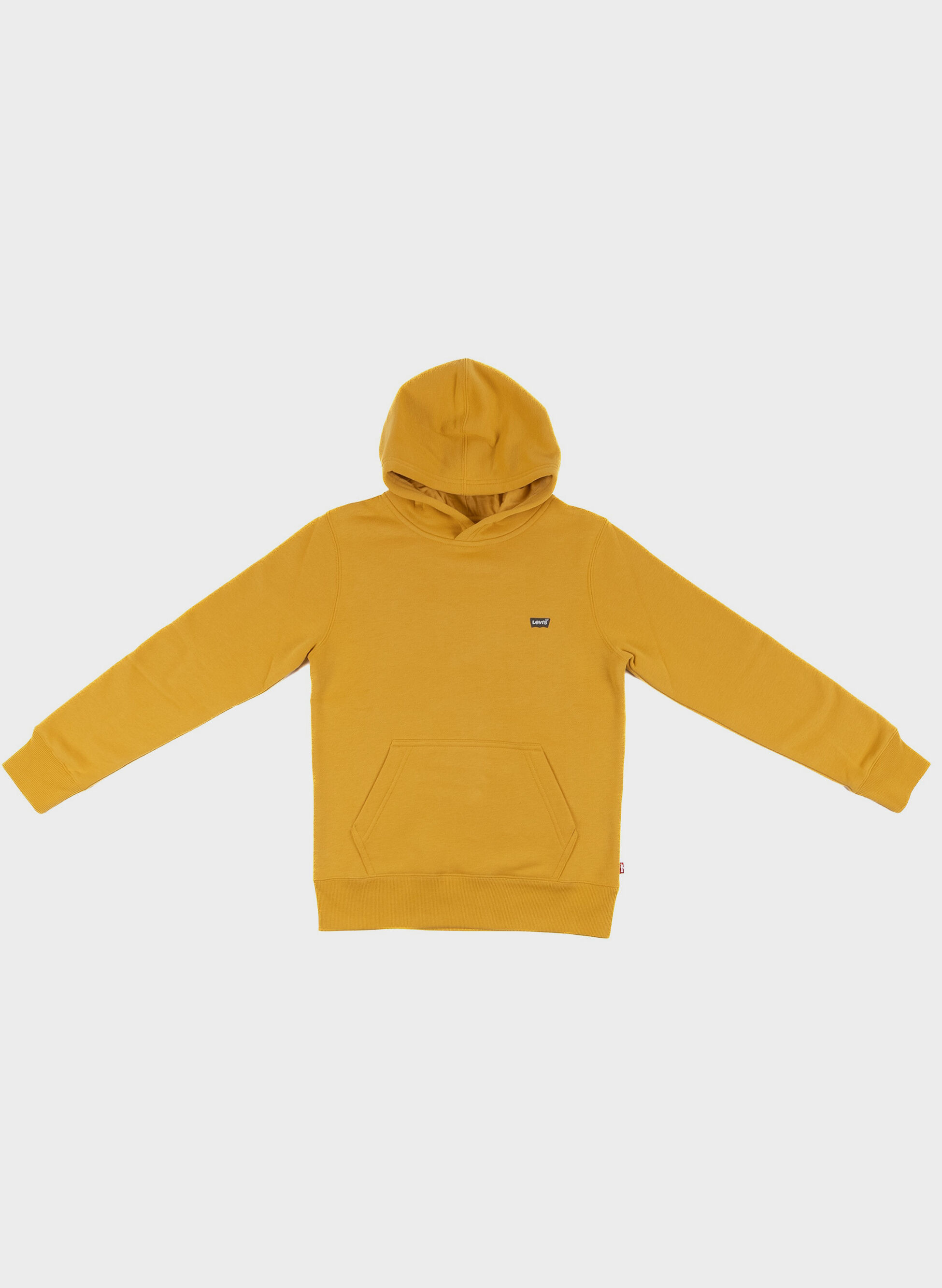 FELPA MICRO LOGO HOODIE RAGAZZO