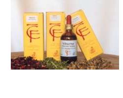 TIGLIO GEMME 100 ML MG