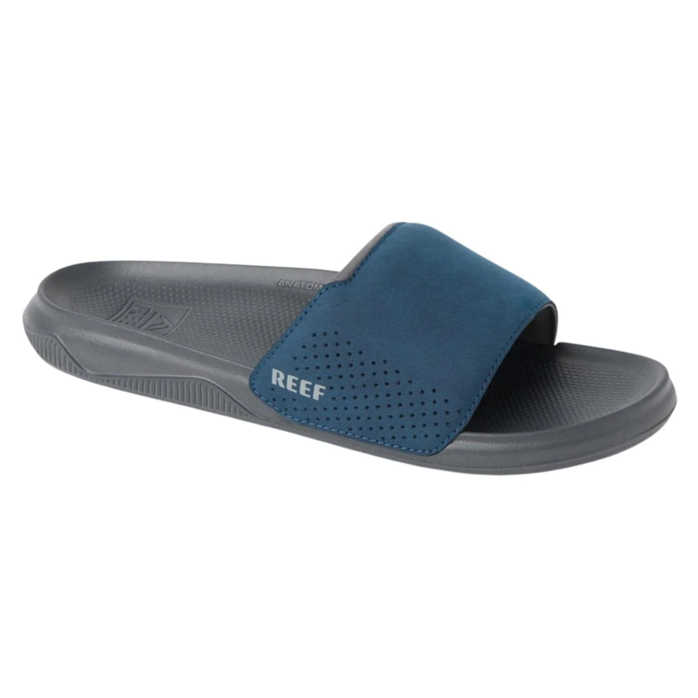 REEF TAILSLIDE — Animasportiva